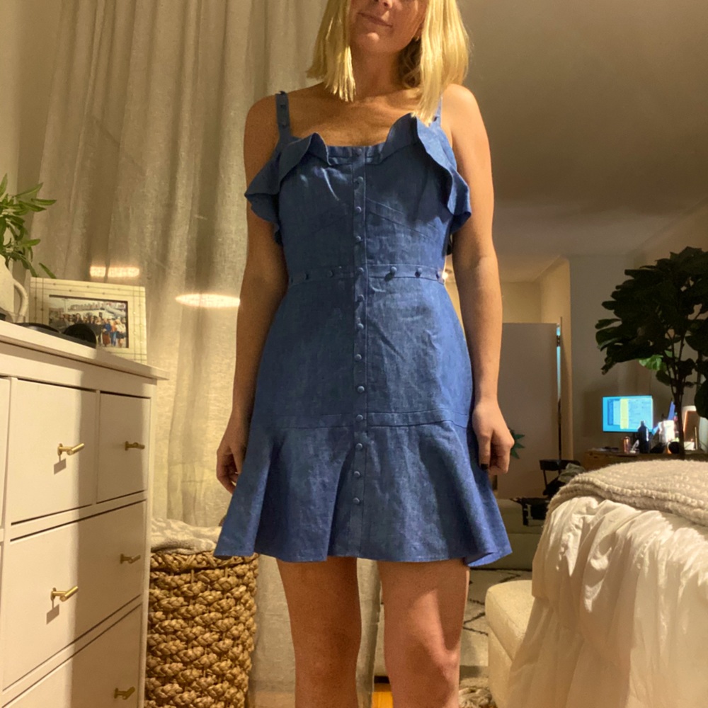 Alexis Denim Fit n Flare Dress